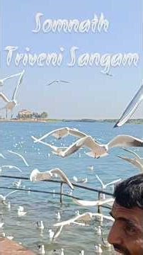 somanath Triveni Sangam. #TriveniSangam #Somnath #bholenath