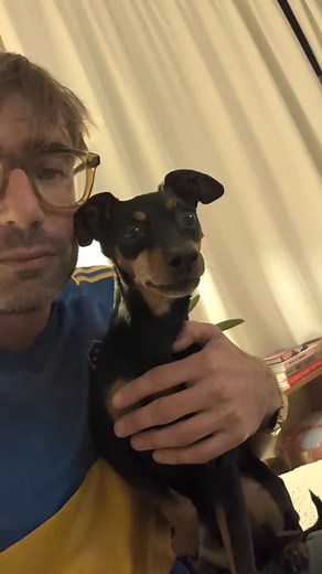 Fireworks aren't worth this shit. He's fucking terrified :( I love fireworks, always have done since I was a kid. But my years of working with dogs has changed my perception of them. Public displays a few days a year are fine, but I firmly believe the public should be banned from buying them. I used to love a garden display, but let's be honest, they are always fucking shit and an expensive disappointment. The trauma caused to our wildlife and our beloved pets is heart breaking. Fuck fireworks #