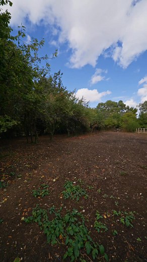 I doubt you've ever come across a house like this in Gravesend! Take a look!👀 🏡A Rare Opportunity On Gold Street, Cobham – Cottage With Acre Of Land & Paddock🏡 ✨Guide Price £600,000 - £700,000✨ Features 🛏️ Three Bedroom ✅ Set On Substantial Grounds With Paddock ✨ 1,432 Sq. Ft. (133.1 sq. m.) Plus Converted Loft Room ☑️ Full Refurbishment Opportunity – Huge Scope To Transform 🚗 Driveway Parking For Two Cars & Garage 🌸 Expansive Gardens Offering A Blank Canvas For Landscaping 📍 Sought-After