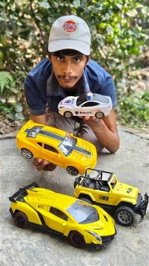 Remote Control Cars