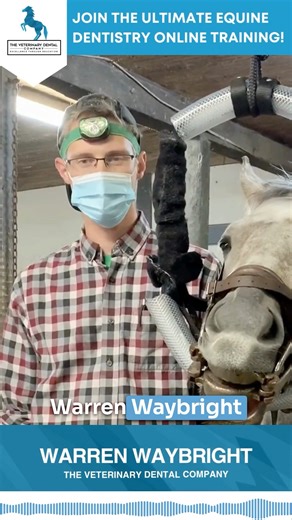 The Equine Practice Company on Instagram: "🦷✨ Testimonial Spotlight ✨🦷 “Hi, I'm Dr. Warren Waybright from Montreal, Quebec, Canada. I'd like to share how much I've been enjoying taking The Veterinary Dental Company's online course. It fits my schedule and has given me a great opportunity to review old concepts and learn new ones, bringing fresh ideas and techniques to my practice to better serve the horses here. Thanks!” Thank you, Dr. Waybright, for the kind words! Our program is designed by