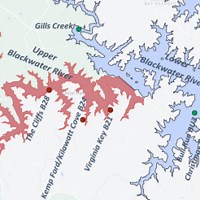 Harmful Smith Mountain Lake algal blooms wane, but swim advisory remains in Blackwater arm