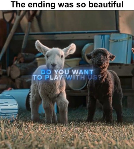 "The Story Of a Winter Lamb" | The Sheep Detectives | Love Me Not - Ravyn Lenae #movie #edit