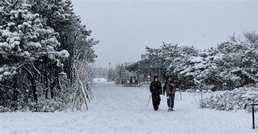 神奈川県内、大雪で５９人重軽傷 ９日朝は氷点下か、気象台が注意呼びかけ 動画 | カナロコ by 神奈川新聞