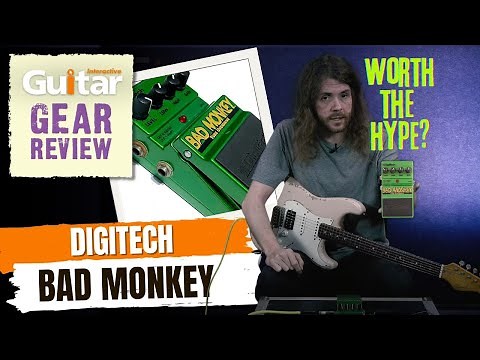 Digtech Bad Monkey | Review | Guitar Interactive