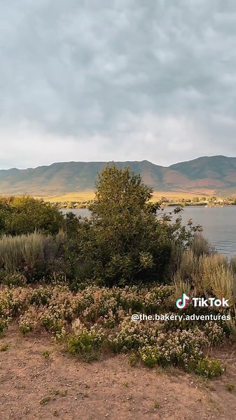 Evening vibes 🔥🪵🌲 #toyota #4runner #overland #offroad #overlanding #camping #camplife #campvibes #4runnermafia #4runnerlife #4runnernation #4runnerlifestyle #4runneroffroad #OffRoadVibes #overlandingbuild #overlanding4x4 #4runnermods