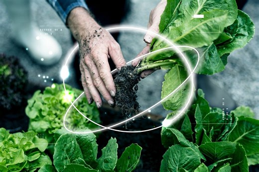 Agriculture Images | Download Free Design Resources on rawpixel