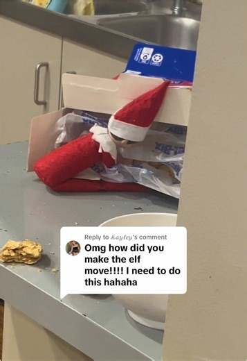 Creative Elf On The Shelf Ideas for Christmas 2024