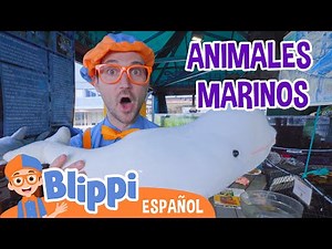 Aprende sobre Animales Marinos 🦈 🐬 🪼 Blippi Español | Videos educativos para niños | Aprende