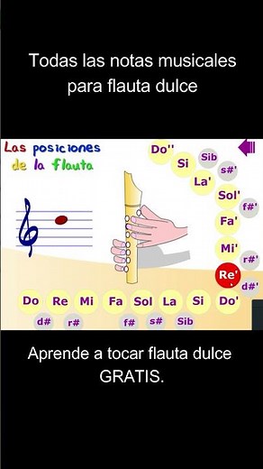 FLAUTA DULCE Todas las notas musicales #flautadulce #educación #educación #flautodolce #flute