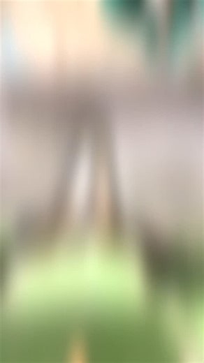 Richard Findley on Instagram: "Fresh knives on the planer-thicknesser today. For some reason I always put this job off but am always glad to have done it. As ever, sharp tools make everything better! I use the old 3 marks on a stick trick for setting the knives (there’s only 2 on my old Sedgwick MB) and I always mark the one I’ve changed so as not to get mixed up. The adjustable tables allow me to dial it in so it’s cutting just right. The outfeed table needs to be low enough that the wood slide