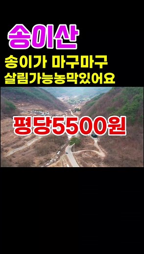 안동 송이산 매매 평당5500원 #임야매매#송이산