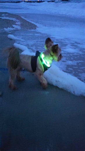 Mickey Mousse 🧼 | Le Tout Petit Griotte