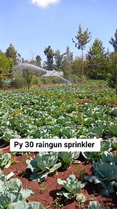 27K views · 562 reactions | Overhead irrigation installation system in Meru County | Farm with Tonny greenhouse and irrigation solutions | Facebook