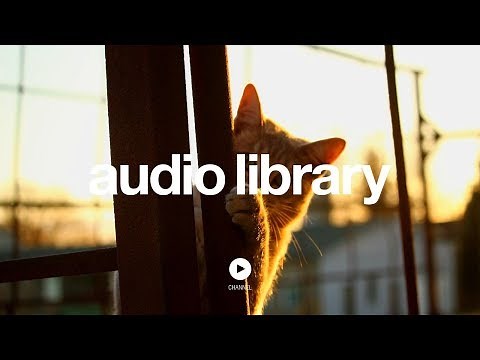 Investigations – Kevin MacLeod (No Copyright Music)