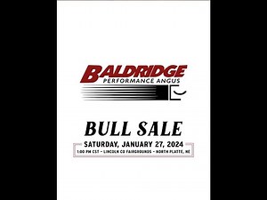 Baldridge Performance Angus 2024 Bull Sale Catalog, North Platte, Nebraska