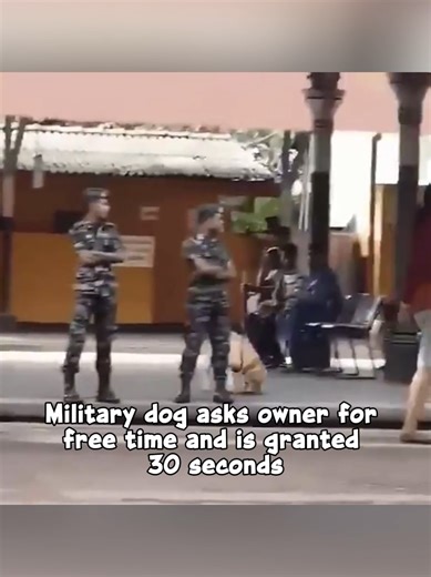 🥹❤️‍🩹✨️ #wholesome #hopecore #positivity #viral #fyp | hope core