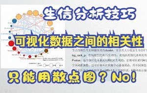 【生信分析技巧】可视化数据之间的相关性，只会用or只能用散点图？其实网络图更有优势