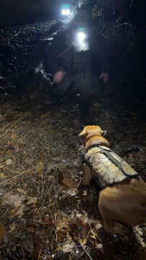 Enjoying Fun Hunting Adventures with Oak and Duck Dogs