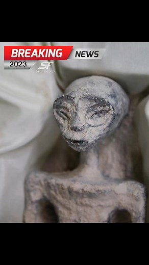 Mexican scientist finds alien mummy 😱 #alien #mummy #science #facts #fact #stunfacts77 #amazing #trending #news | Info Magnet