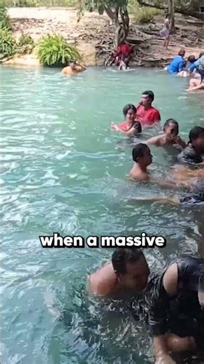 Giant python slithers into busy tourist pool in Thailand 🐍😱