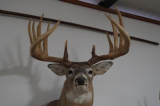 The General: The Giant Nebraska Whitetail That Was Larger Than the Rompola Buck