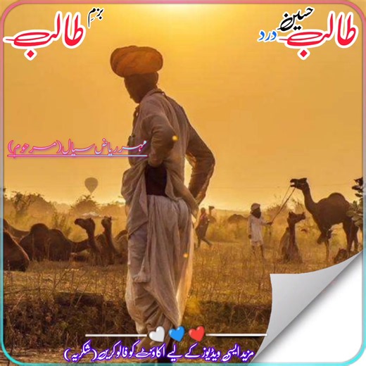 Talib Hussain Drd video highlights - بابا طالب compilation