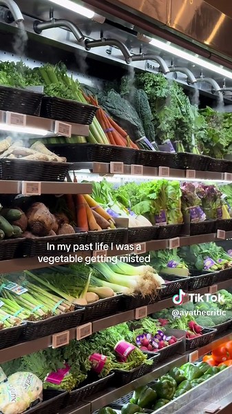 Hierarchy in the Vegetable Kingdom