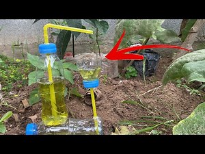 The Science of Pressure: Creating a Fountain from Bottles