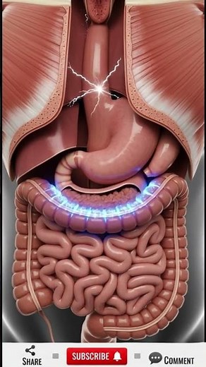 Human Digestive System 3D Animation | Ultra Realistic Anatomy