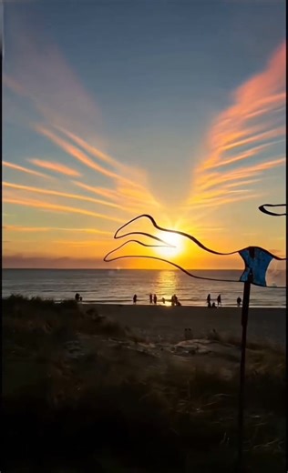 Brighton Jetty Sculptures is one of South Australia’s largest outdoor sculpture exhibitions, held on the Brighton beachfront (Esplanade) each summer. It transforms the foreshore into an open-air gallery featuring artworks by local, regional and interstate artists. ￼ • Dates (2026): 21 January – 1 February. ￼ • Outdoor sculptures along the beach walk are free to view anytime. ￼ • Indoor pieces are in marquees on Bindarra Reserve (corner Bindarra Rd & Esplanade). ￼ • 💖 Proceeds support the Bright