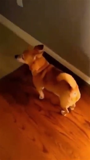 Only For You 😁❤️ #guess #shorts