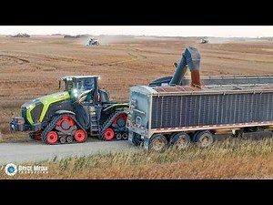XXL Ernteaktion! Diese Maschinen sind LEISTUNGSSTARK 🤯 Claas Xerion 12.650 & Lexion 8700 - KANADA