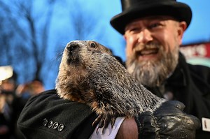 Punxsutawney Phil welcomes first offspring with partner, Phyllis