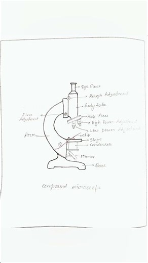 #Compound Microscope | #Pharmacognosy #Practical | #D.Pharm 1st Year #education