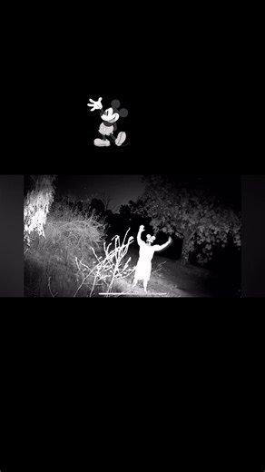 What do you think of the rebrand? #mickeymouse #conneromalley #fyp