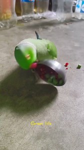 Angry parrot! Cute naughty parrot 😍😄 #short #reels #parrotsofinstagram #funnyparrot #viral #parrotlover #fbshorts #angry | Green Life