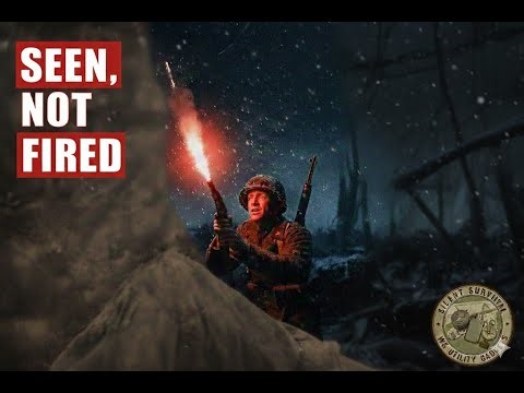 The Gun That Never Aimed at People