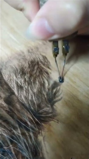 ETHEREAL Deer Motif comes to life through Handcrafted Wood Burning *Magic of Pyrography!*