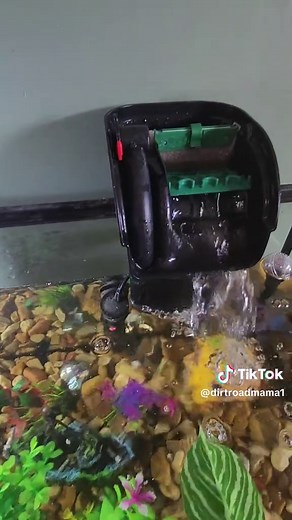 Tetra Whisper Aquarium Filter Review: 10 Gallon Tank