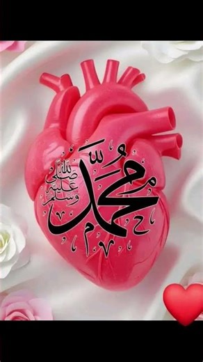 Main Sadique Rasul Hu Tum Jante Nahi#islamicmusic #shortvideo