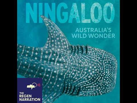 Tim Winton: With Ningaloo’s first kids book (& other big news)