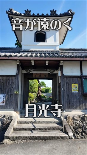 【音が遠のく】月光寺（大阪・富田林市）｜なぜか落ち着く癒やしの寺