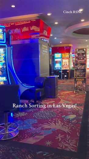 The Core Arena at the Plaza is the place to be! Watch live on @ridetvofficial! #cinchrsnc #ranchsorting | Ranch Sorting National Championships (RSNC)