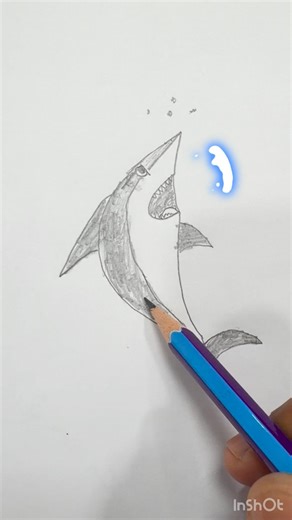 How to Draw Shark | Step by Step