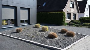 Nach Schottergärten-Verbot in Hessen: Was sind die Alternativen?