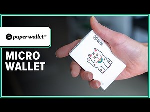 The Lightest Wallet Ever? Paperwallet Micro Wallet Review (2 Weeks of Use)