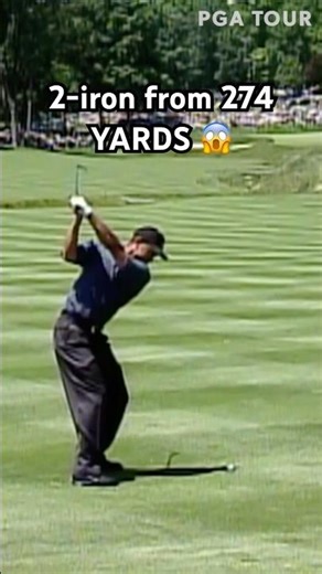 Just Tiger Woods things 🐅