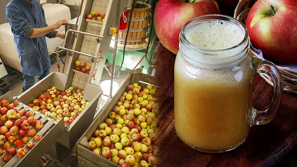 Revealing the Abundant Potato Crop with Cutting-Edge Robots