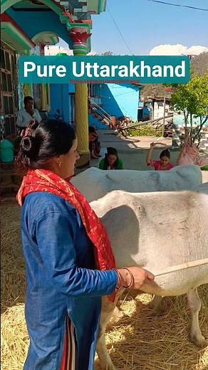 गांव को समझना है तो नरेंद्र सिंह नेगी जी के गीतों को सुनिए Narendra Singh Negi Ji Old Garhwali Song